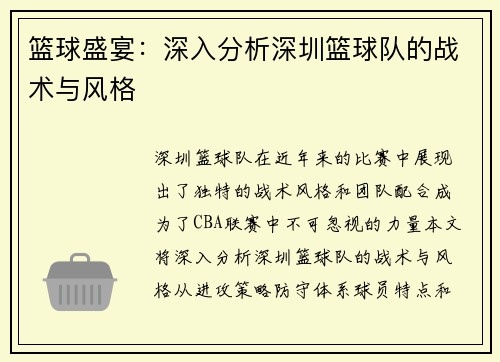 篮球盛宴：深入分析深圳篮球队的战术与风格