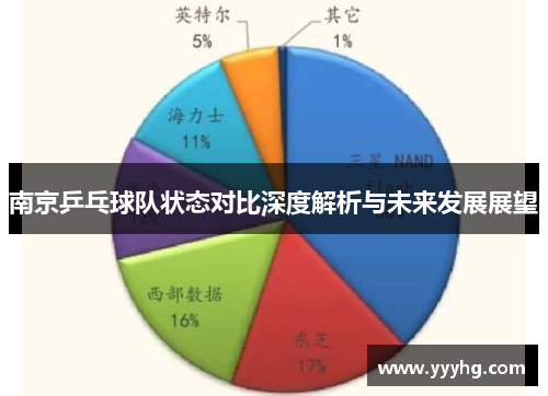 南京乒乓球队状态对比深度解析与未来发展展望