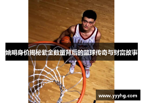 姚明身价揭秘紫金数量背后的篮球传奇与财富故事